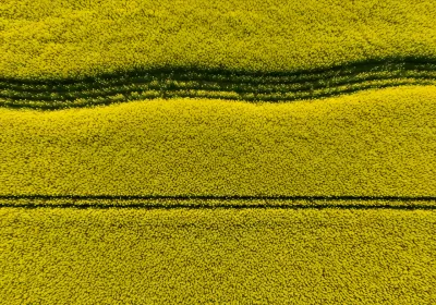 Imagen PNG para descargar